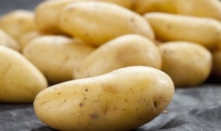 土豆的种植时间 土豆的种植时间和方法季节