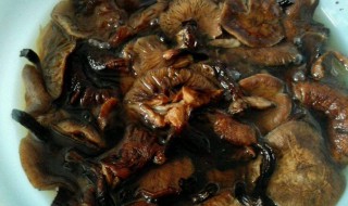 榛蘑酱的做法 榛蘑蘑菇酱的家常做法