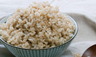 糙米要怎么食用（糙米怎么食用方法）