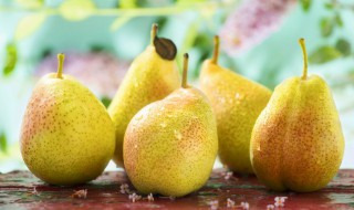 梨属于什么性水果 梨属于什么性水果寒性还是温性