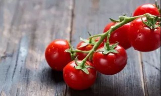 吃西红柿能减肥吗（吃西红柿能减肥吗什么时候吃最好）