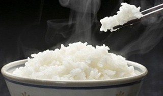 怎么蒸米饭 怎么蒸米饭一粒一粒的