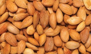 杏仁的功效与作用及食用方法 新鲜杏仁的功效与作用及食用方法