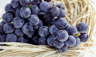 葡萄没有冰箱要怎么保存 葡萄没有冰箱要怎么保存呢