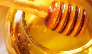 蜂蜜的功效与作用及食用方法（蒲公英蜂蜜的功效与作用及食用方法）