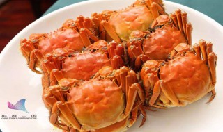 螃蟹跟什么不能一起吃 螃蟹跟什么不能一起吃吗