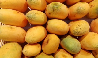 芒果不能跟什么水果一起吃 芒果跟什么相克中毒
