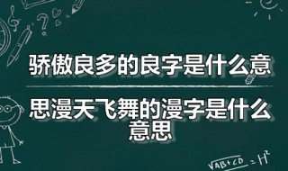 骄傲良多的良字是什么意思漫天飞舞的漫字是什么意思 漫天飞舞是什么意思