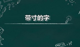 带寸的字（带扌的字）