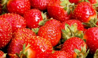 草莓的营养价值有哪些 蓝莓的功效与作用及营养价值
