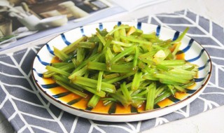 野芹菜怎么做好吃（野芹菜怎么做好吃能做馅吗?）