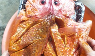 烤红鱼的做法和配方（烤红鱼的做法和配方窍门）