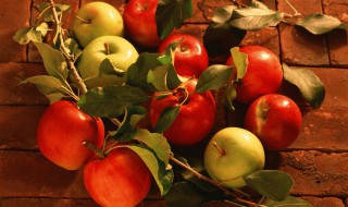 中国最好吃的苹果排名 中国最好吃的苹果排名洛川苹果成熟