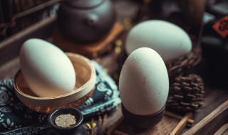 鹅蛋比鸡蛋营养价值高吗为什么 鹅蛋比鸡蛋营养价值高吗