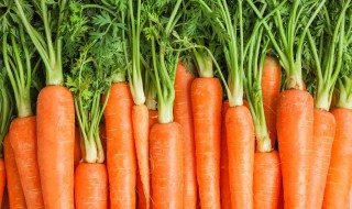 清炒胡萝卜怎么做好吃