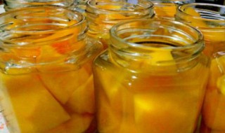 黄桃罐头能用塑料瓶装吗视频 黄桃罐头能用塑料瓶装吗