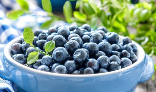 蓝莓是凉性水果吗 蓝莓是凉性水果吗小月子可以吃吗