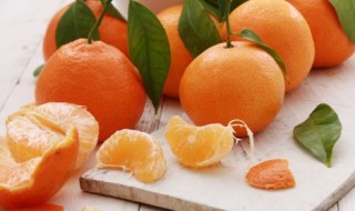 橘子跟冬枣能一起吃吗 冬枣可以和桔子一起吃吗