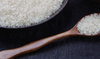 珍珠米是什么米 珍珠米是什么米种