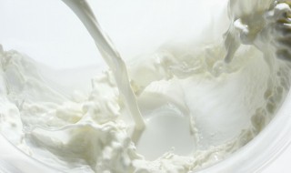 脱脂牛奶蛋白质高还是全脂牛奶