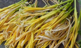 黄花菜是熟晒好还是生晒好呢（黄花菜生晒和熟晒的哪个好吃）