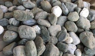 河里捡的石头怎么养才长得好 河里捡的石头怎么洗更干净