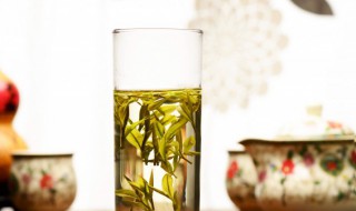 安化茶属于什么茶 安化茶属于什么茶系列