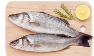 鲈鱼杀了可以放冰箱冷冻吗 鲈鱼杀了可以放冰箱冷冻吗多久