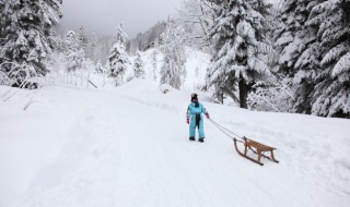 雪天如何防止摔倒 雪天如何防止摔倒发生