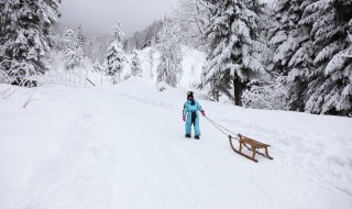 雪怎么才能快速融化 雪怎么才能快速融化呢