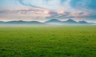 梦见草原是什么意思 梦见草原美景