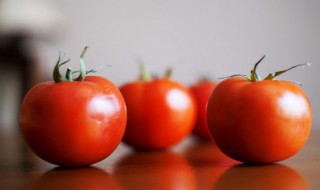 青菜西红柿汤面的家常做法 青菜西红柿汤面的家常做法大全