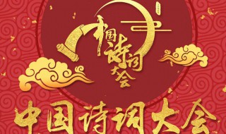 中国诗词大会播出时间（中国诗词大会免费观看完整版）