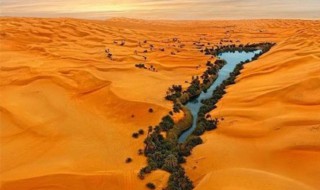 撒哈拉沙漠在哪个国家 撒哈拉沙漠在哪个国家的哪里