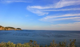 广鹿岛在哪 广鹿岛在哪里