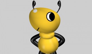 黄蚂蚁怎么消灭 黄蚂蚁怎么消灭最干净