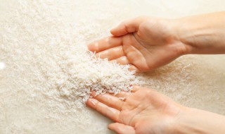 糙米是什么（糙米是什么米功效与作用）