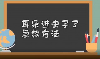 耳朵进虫子怎么办（耳朵进虫子怎么办?）