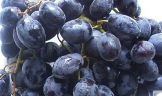黑加仑葡萄干的功效与作用 黑加仑葡萄干的功效与作用及食用方法