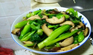香菇青菜的做法 香菇青菜的做法步骤