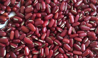 红小豆和赤小豆的区别 红小豆和赤小豆的区别和营养价值与功效以及适应人群