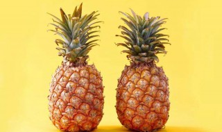 菠萝与凤梨的区别（菠萝与凤梨的区别以及功效）