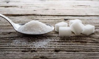 冰糖和白糖的区别（冰糖和白糖的区别和功效 中医）