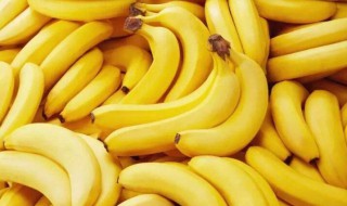香蕉的资料 香蕉的资料大全100字以上