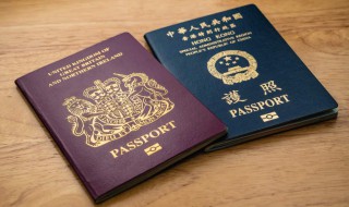 bno护照是什么意思（bno 护照什么意思）