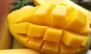 芒果哪个品种最好吃 芒果哪个品种最好吃?