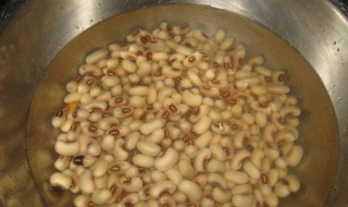 饭豆怎么做好吃 饭豆怎么做好吃法