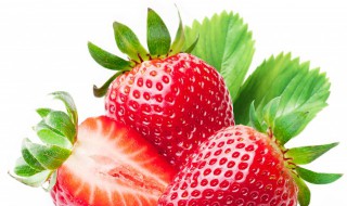减肥可以吃草莓吗（减肥可以吃草莓吗什么时间吃）