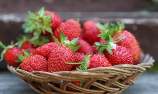 草莓种植（草莓种植技术）