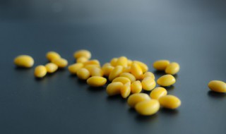 小孩黄豆吃多了会怎么样 黄豆吃多了会怎么样